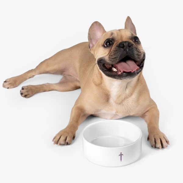 Trump 8 - Branded Pet Bowl - Image 6